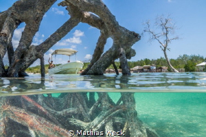 Surface interval in the mangroves by Mathias Weck 